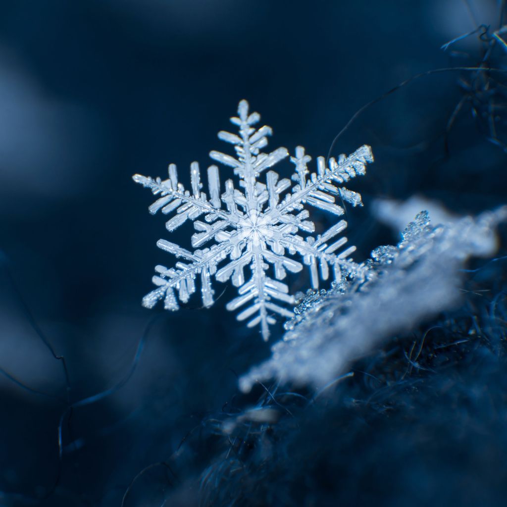 The Devil’s Advocate